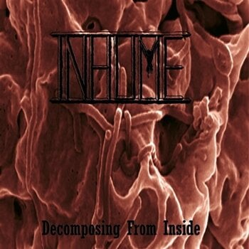 LP Inhume - Decomposing From Inside (Limited Edition) (Transparent Yellow Coloured) (LP) - 1