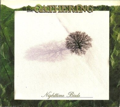 Vinilinė plokštelė The Gathering - Nighttime Birds (Limited Edition) (LP) - 1