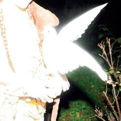 Disco de vinilo Elisabeth Klinck - Chronotopia (Limited Edition) (White Coloured) (LP)