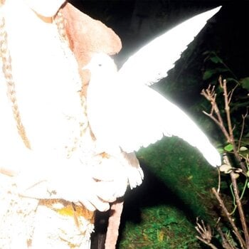 Płyta winylowa Elisabeth Klinck - Chronotopia (Limited Edition) (White Coloured) (LP) - 1