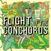 Disco de vinil Flight Of The Conchords - Flight Of The Conchords (Reissue) (Limited Edition) (LP)
