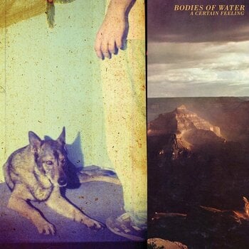 Disque vinyle Bodies Of Water - A Certain Feeling (LP) - 1