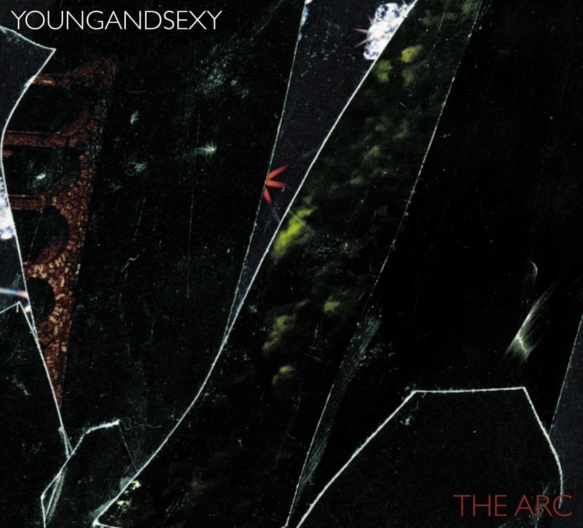 Disque vinyle Young And Sexy - The Arc (LP)