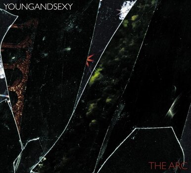 Disque vinyle Young And Sexy - The Arc (LP) - 1