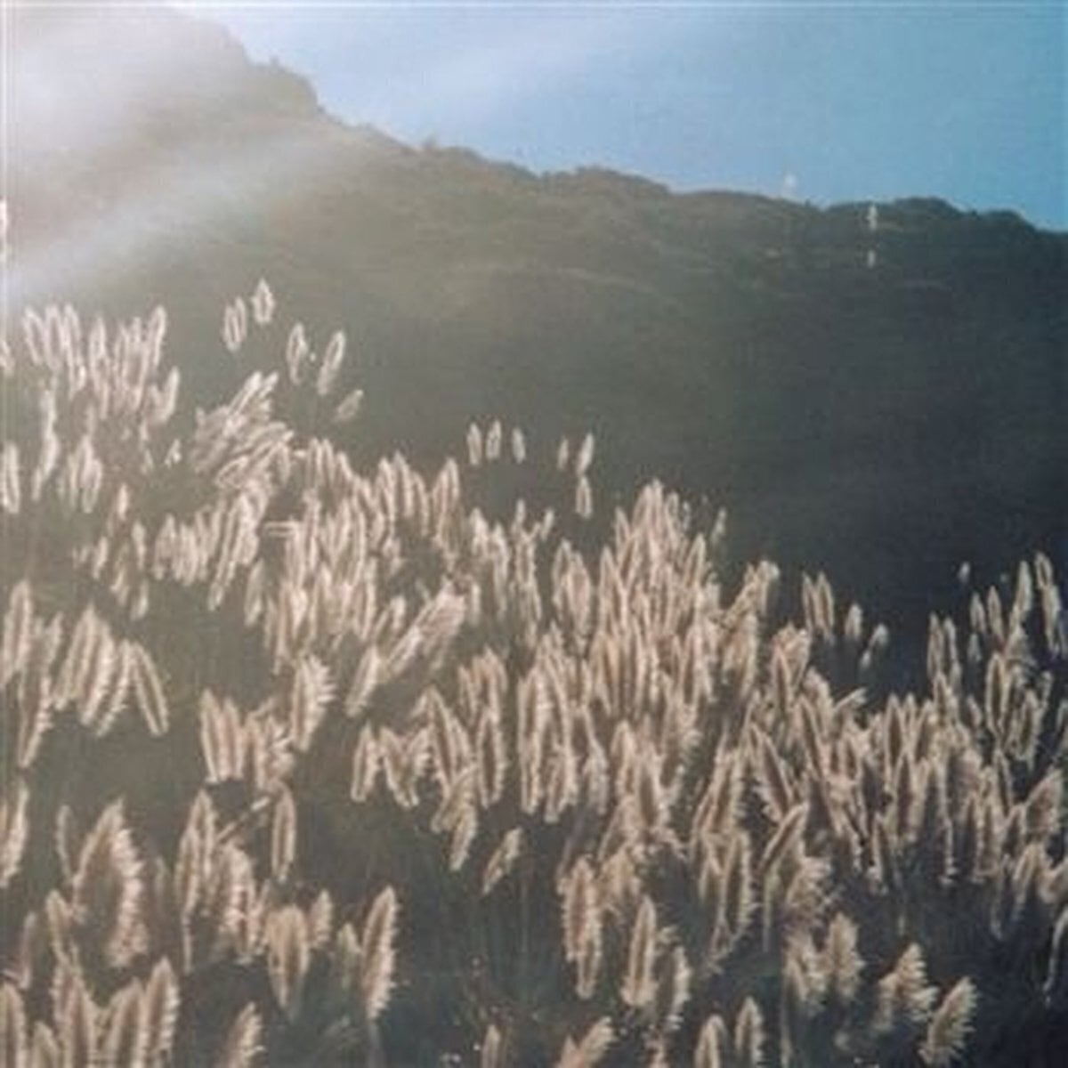 LP ploča The Blithe Sons - The Great Orthochromatic Wheel (LP)