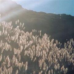 Вінілові платівки The Blithe Sons - The Great Orthochromatic Wheel (LP)