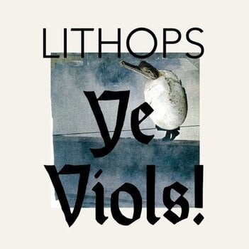 Disque vinyle Lithops - Ye Viols! (LP) - 1