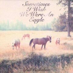Vinyl Record Bill Callahan - Sometimes I Wish We Were An Eagle (LP)