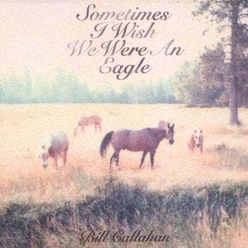 Vinyl Record Bill Callahan - Sometimes I Wish We Were An Eagle (LP) - 1