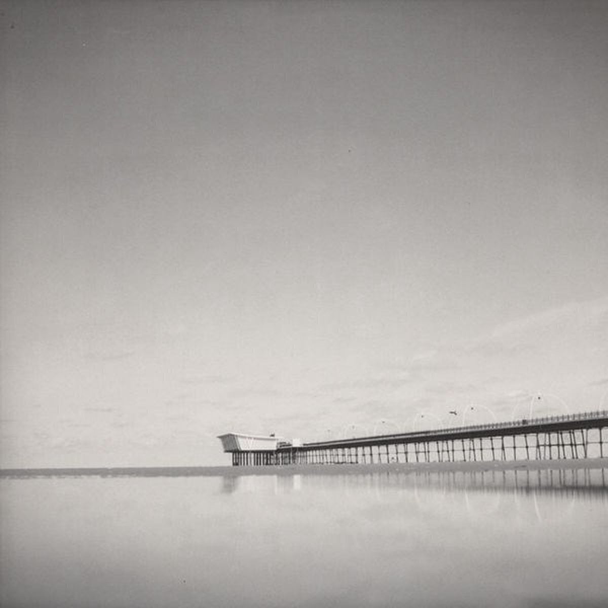 Vinylskiva Seasons - Your Eyes The Stars And Your Hands The Sea (Limited Edition) (LP)