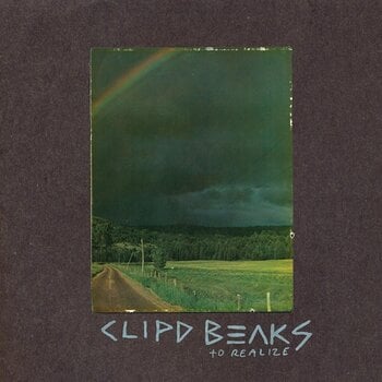 Вінілові платівки Clipd Beaks - To Realize (2 LP) - 1