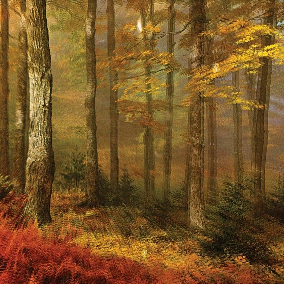 Vinylskiva People Of The North - Deep Tissue (LP)