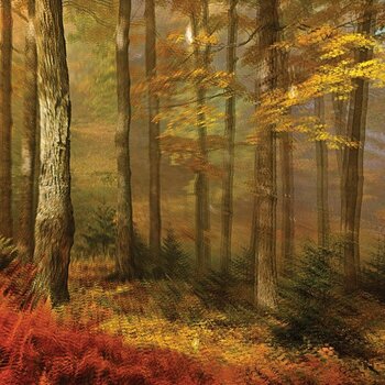 Vinylskiva People Of The North - Deep Tissue (LP) - 1