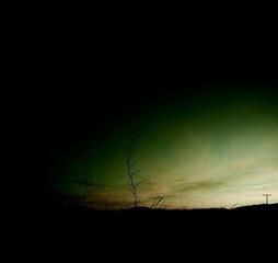 Disc de vinil Drowning With Our Anchors - You Can Never Go Home Again (LP)