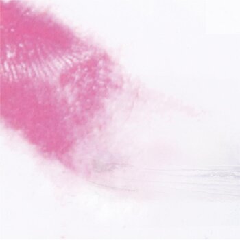 Disc de vinil Mahjongg - The Long Shadow Of The Paper Tiger (LP) - 1