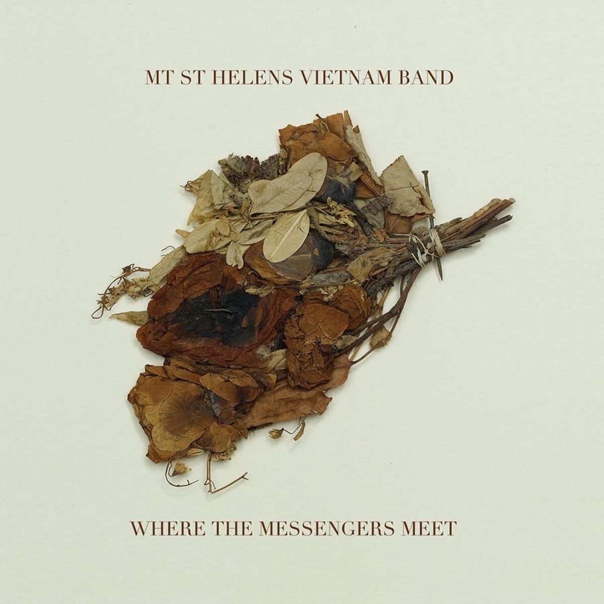 Disc de vinil Mt. St. Helens Vietnam Band - Where The Messengers Meet (LP)