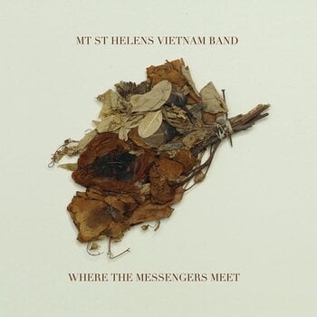 Disc de vinil Mt. St. Helens Vietnam Band - Where The Messengers Meet (LP) - 1