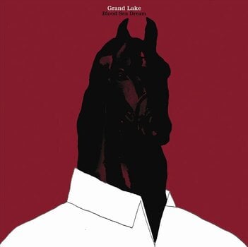 Disc de vinil Grand Lake - Blood Sea Dream (LP) - 1
