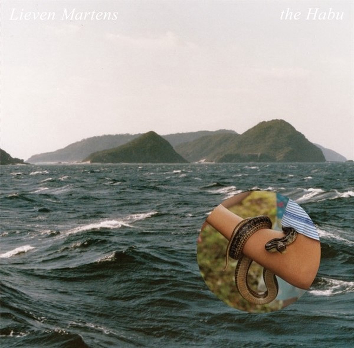Disque vinyle Lieven Martens - the Habu (LP)