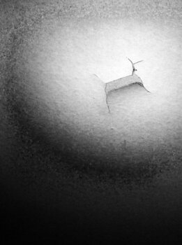 LP deska smallertide - All Along the Northern Evening (LP) - 1