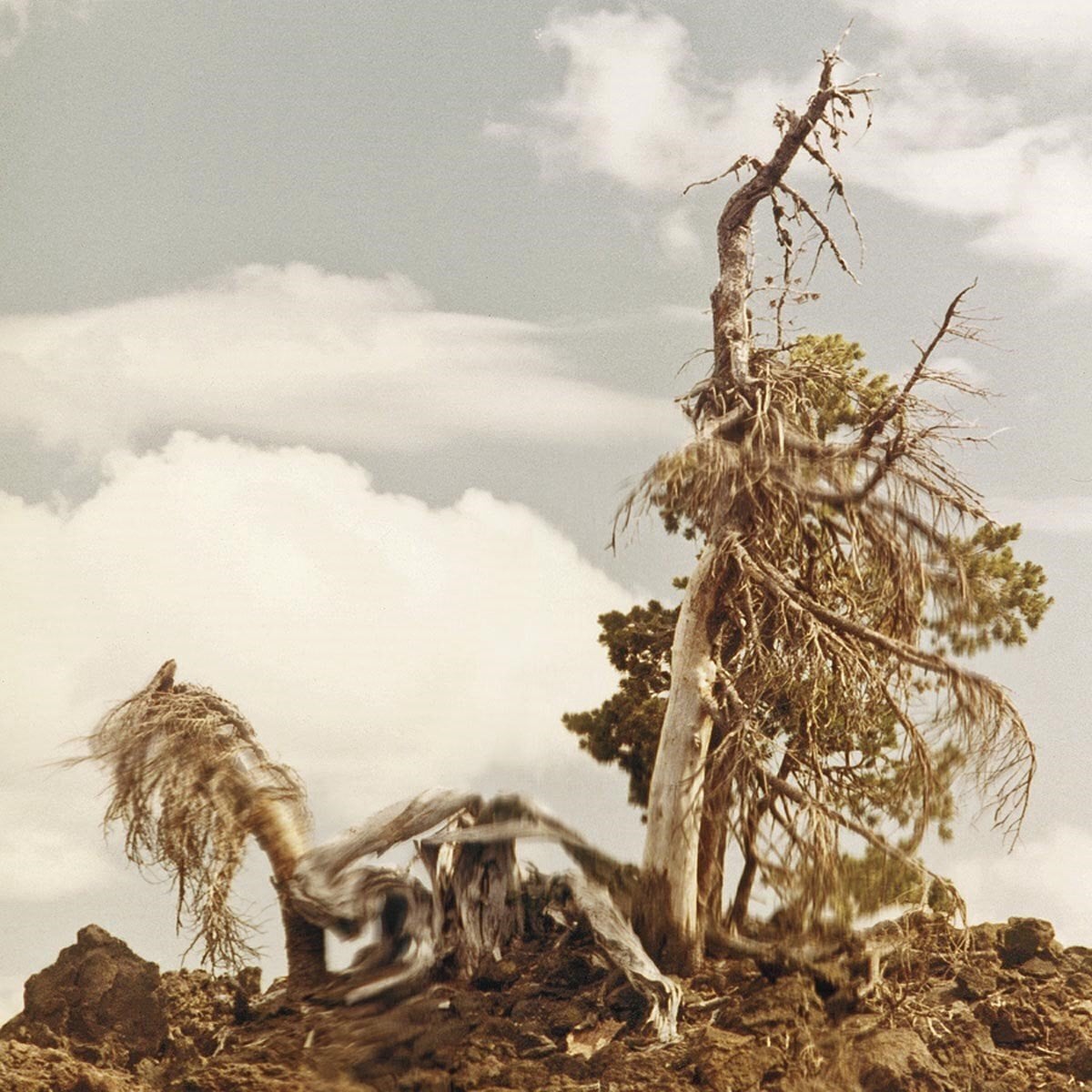 LP platňa People Of The North - Steep Formations (2 LP)