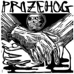 Disc de vinil Prizehog - A Talking To (LP)