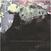 Schallplatte Peter Wolf Crier - Garden Of Arms (LP)