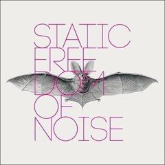 Вінілові платівки Static - Freedom Of Noise (LP)