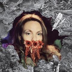 Disque vinyle HK119 - Imaginature (LP)