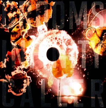 LP ploča Grooms - Infinity Caller (LP) - 1