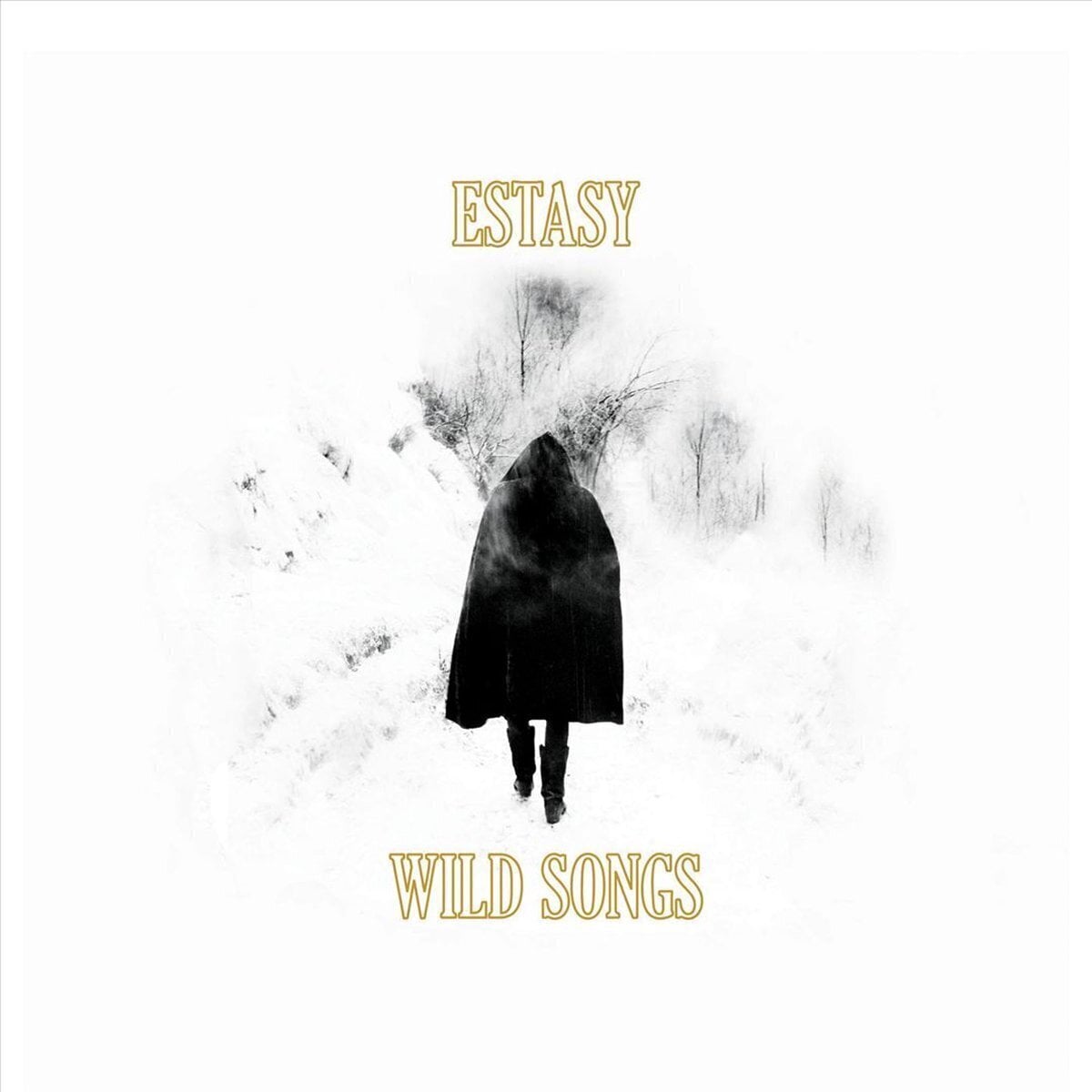 Вінілові платівки Estasy - Wild Songs (LP)