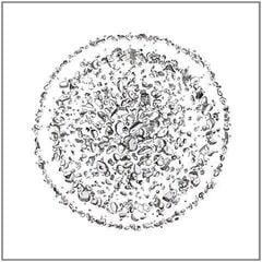 Płyta winylowa Golden Retriever - Occupied With The Unspoken (LP)