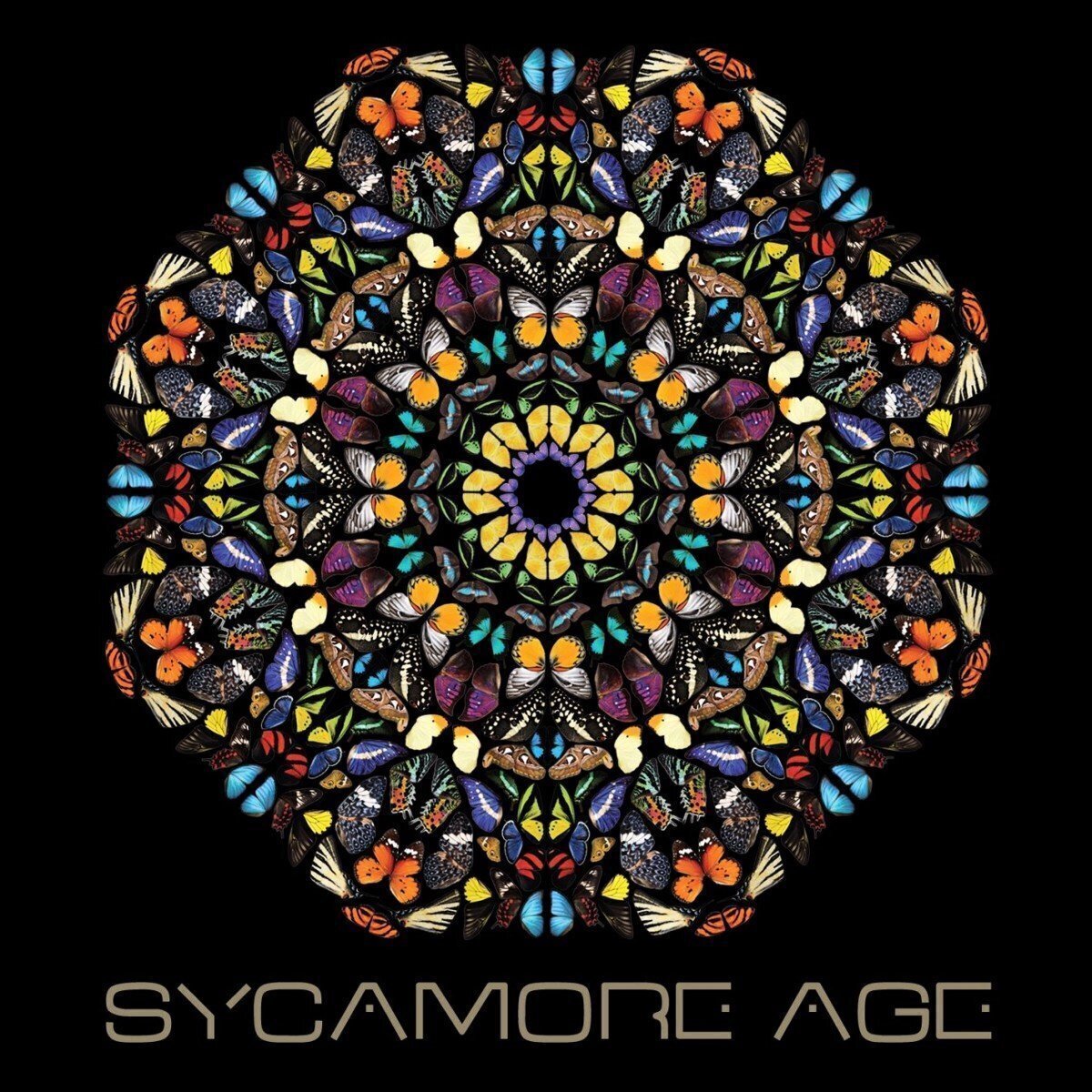 LP deska Sycamore Age - Sycamore Age (Limited Edition) (LP)