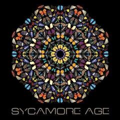 LP deska Sycamore Age - Sycamore Age (Limited Edition) (LP)