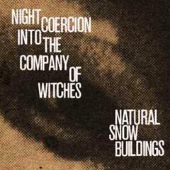 LP deska Natural Snow Buildings - Night Coercion Into The Company Of Witches (Limited Edition) (4 LP)