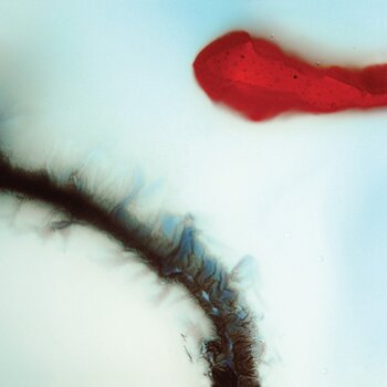 Вінілові платівки Stubborn Heart - Stubborn Heart (LP) - 1