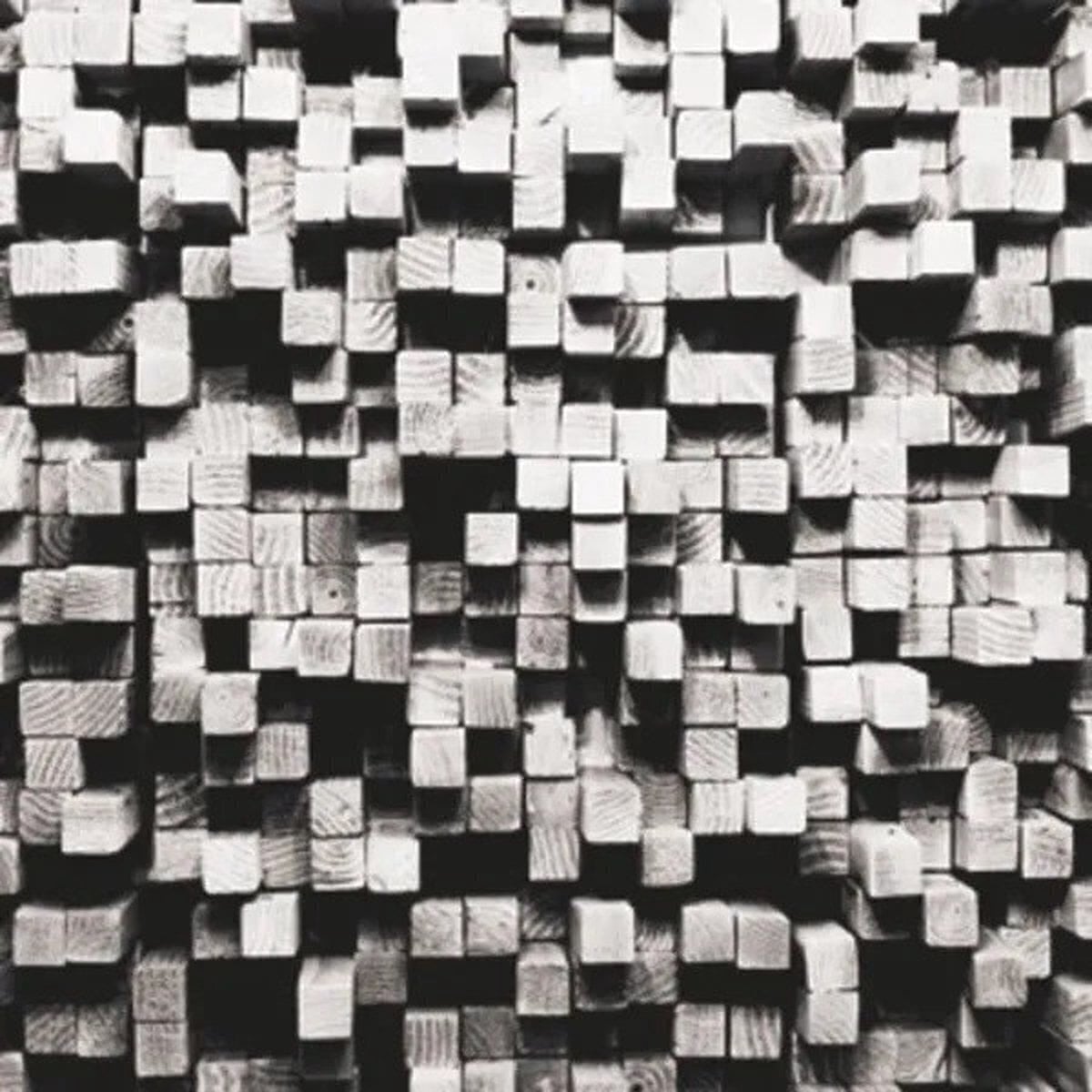 Vinylplate Earlimart - System Preferences (180 g) (2 LP)