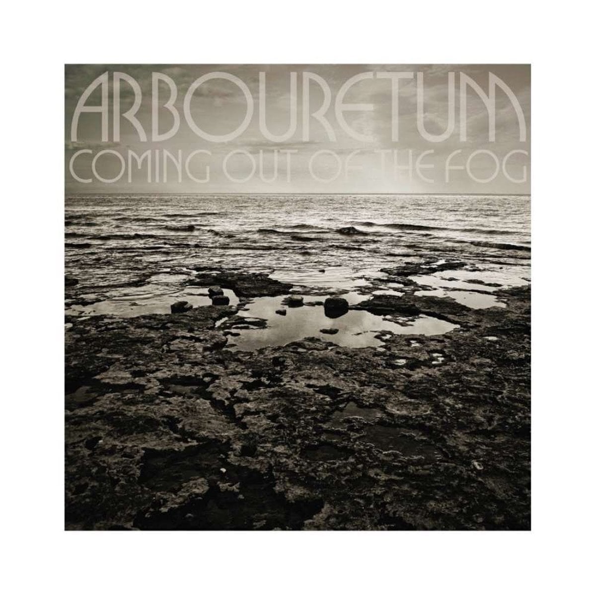 Вінілові платівки Arbouretum - Coming Out Of The Fog (LP)