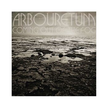Вінілові платівки Arbouretum - Coming Out Of The Fog (LP) - 1
