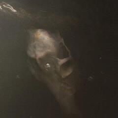 LP ploča Pray For Teeth - From The Dry Edge Of The Shore (LP)