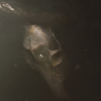 LP ploča Pray For Teeth - From The Dry Edge Of The Shore (LP) - 1