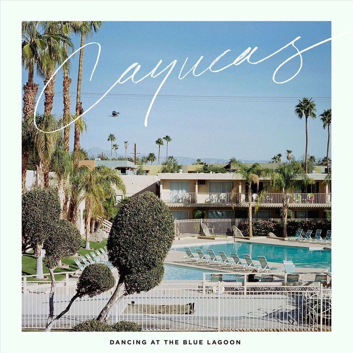 Vinyl Record Cayucas - Dancing At The Blue Lagoon (LP)