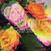 Schallplatte Flashlights - Bummer Summer (Limited Edition) (LP)
