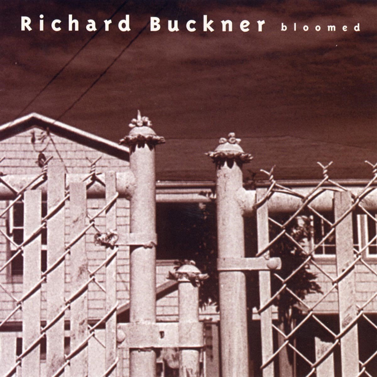 Schallplatte Richard Buckner - Bloomed (Reissue) (180 g) (LP + CD)