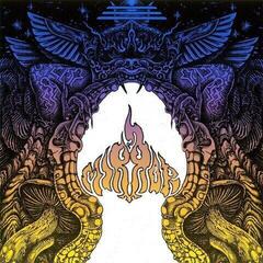 Vinyl Record Mirror - Mirror (Limited Edition) (Clear Coloured) (LP)