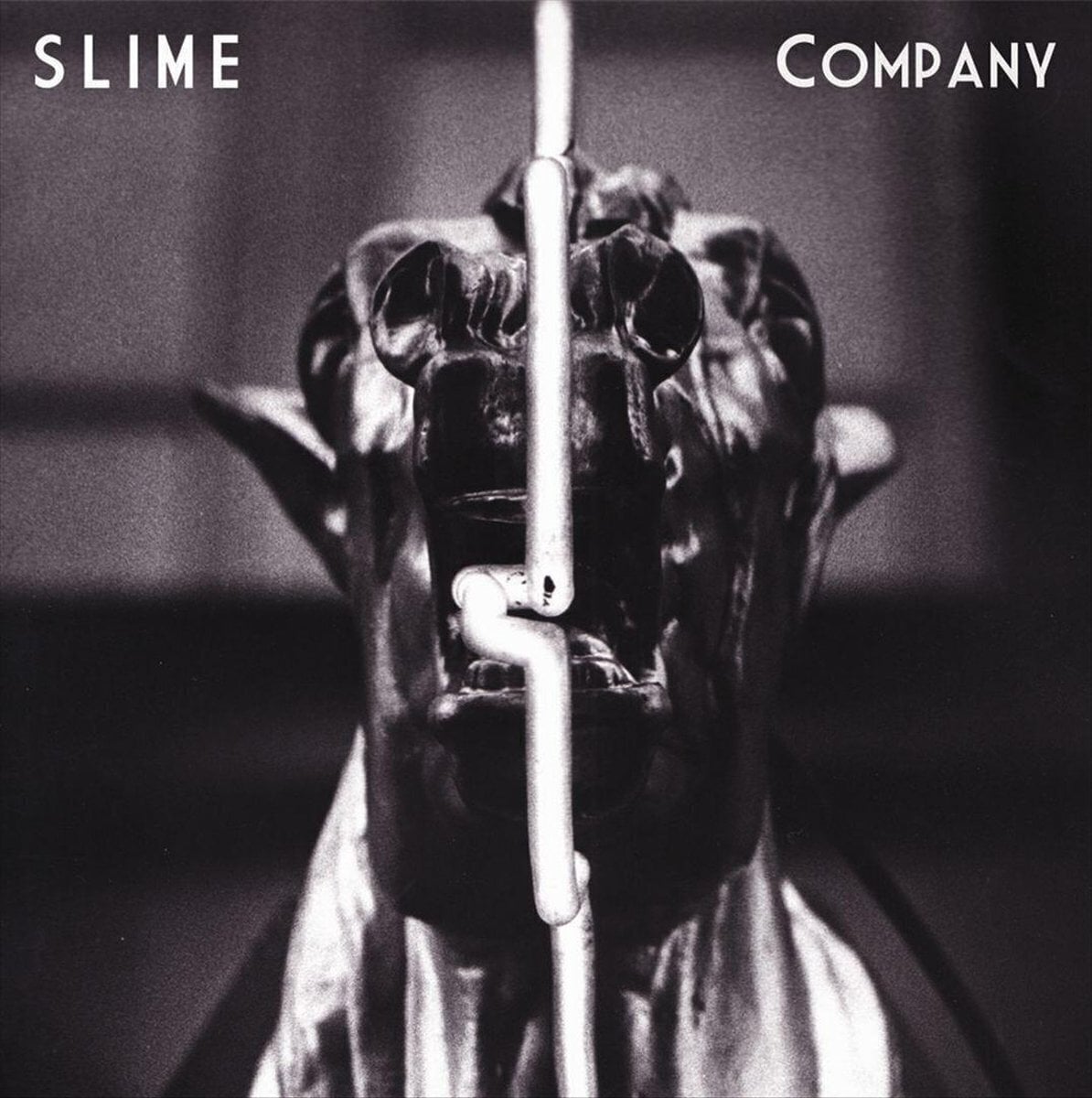 Δίσκος LP Slime - Company (180 g) (LP)
