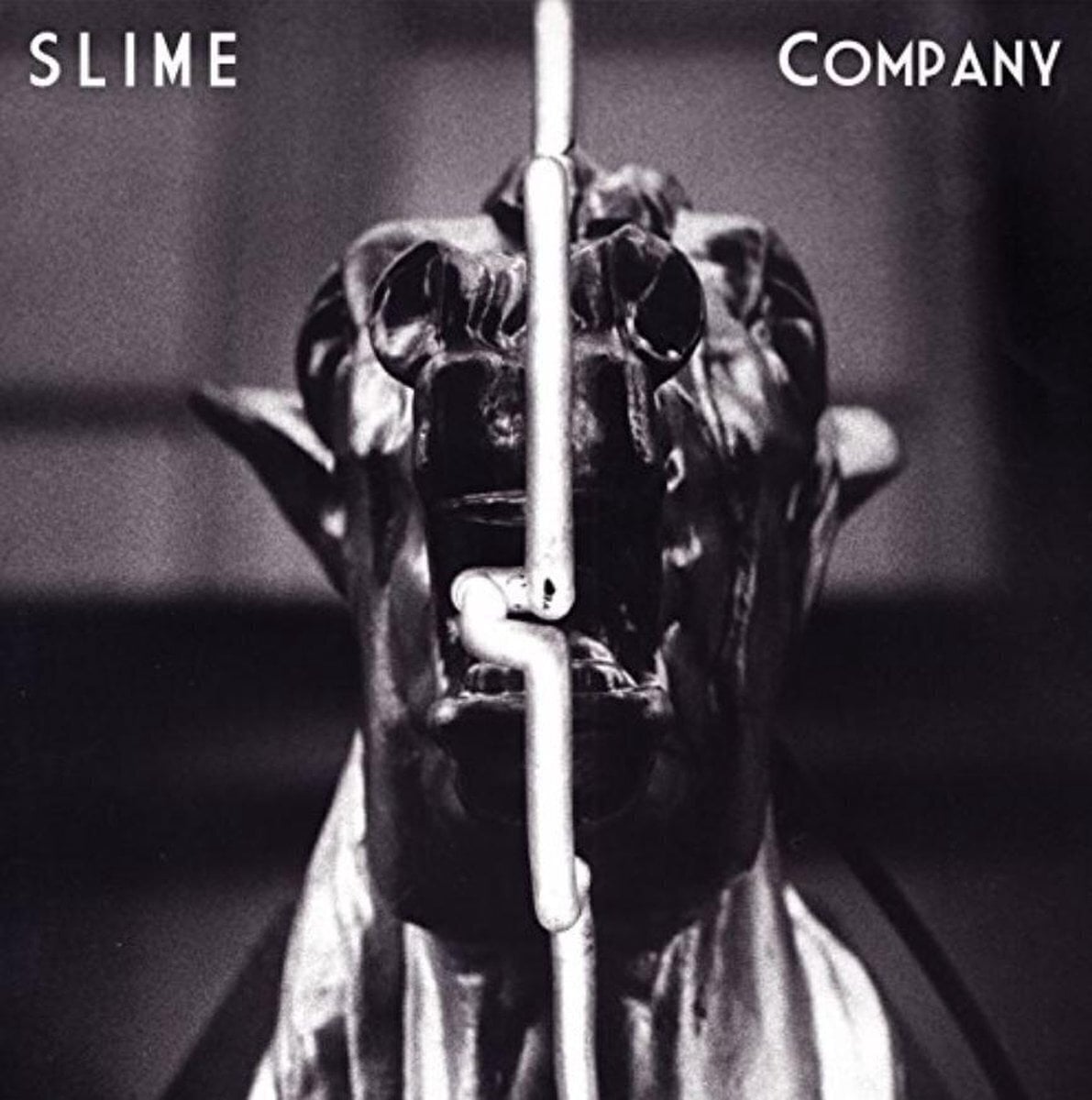 Vinyl Record Slime - Company (Limited Edition) (LP)