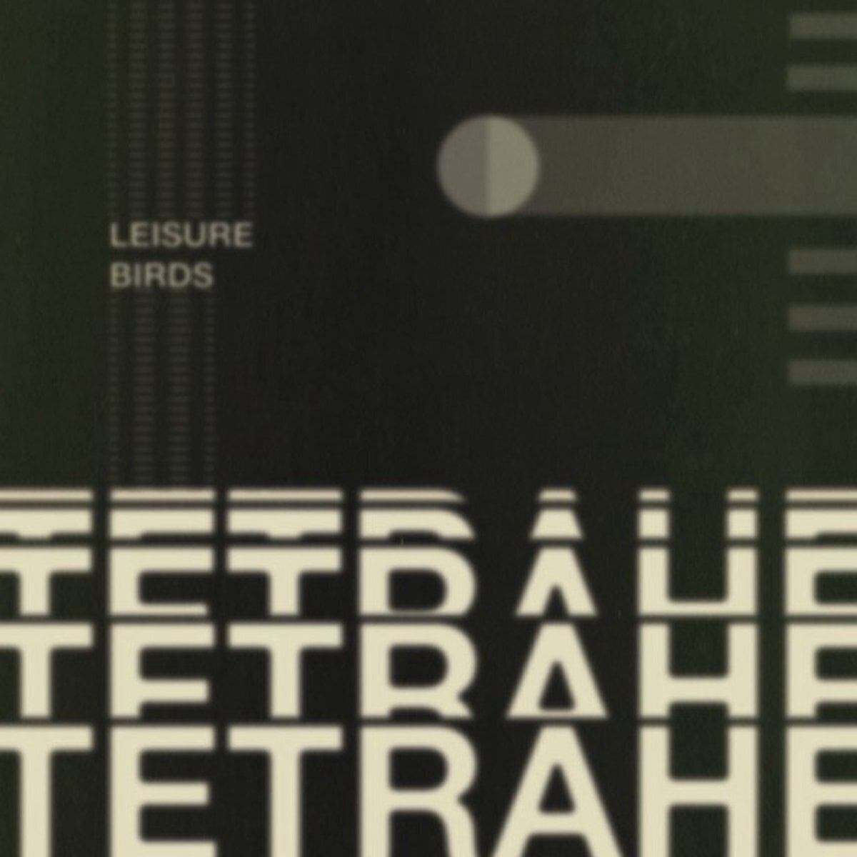 Вінілові платівки Leisure Birds - Tetrahedron (LP)