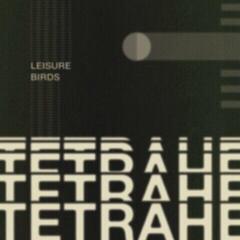 Вінілові платівки Leisure Birds - Tetrahedron (LP)