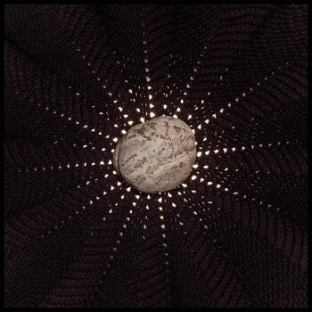 LP ploča Nat Baldwin - In The Hollows (LP) - 1